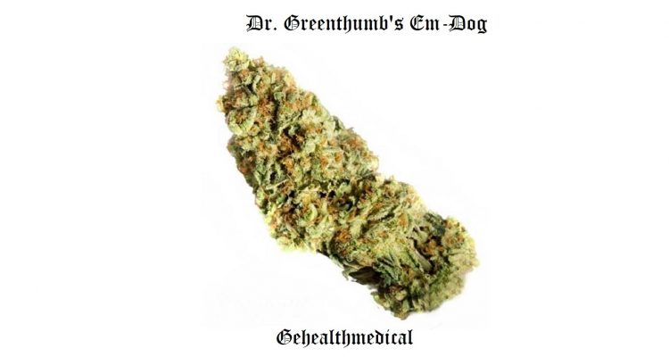 Dr. Greenthumb's Em-Dog