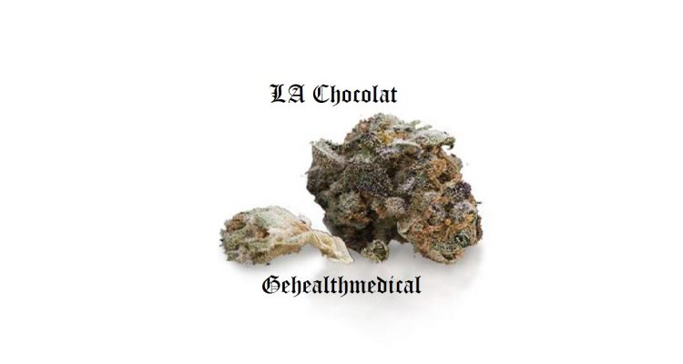 LA Chocolat