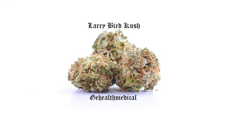 Larry Bird Kush
