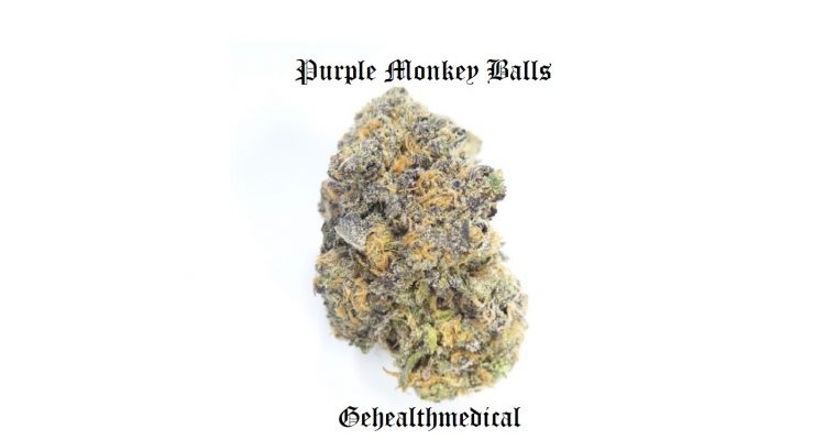 Purple Monkey Balls