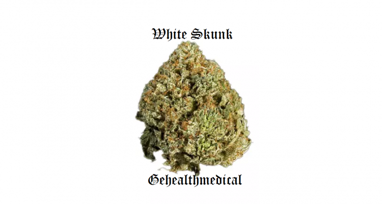 White Skunk