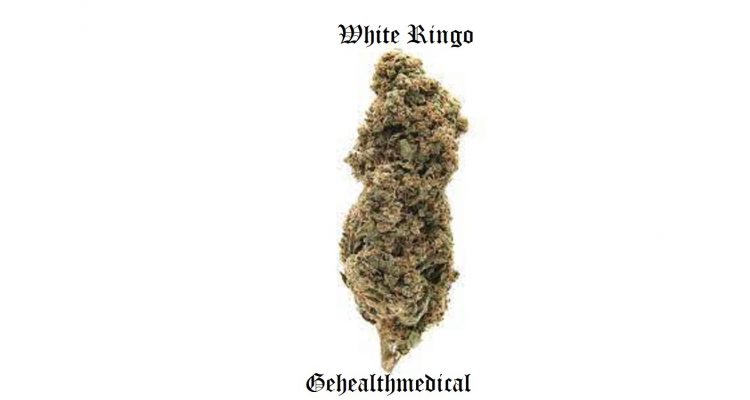 white ringo