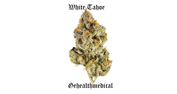 white tahoe