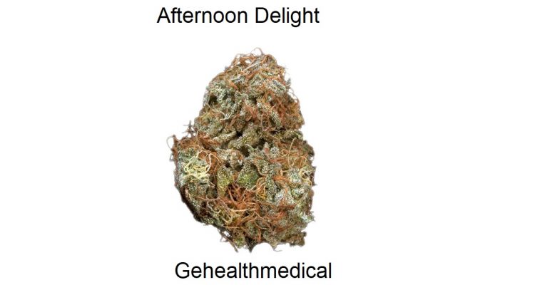 Afternoon Delight Marijuana Strain Information