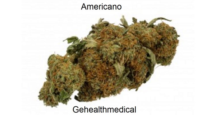 Americano Marijuana Strain Information