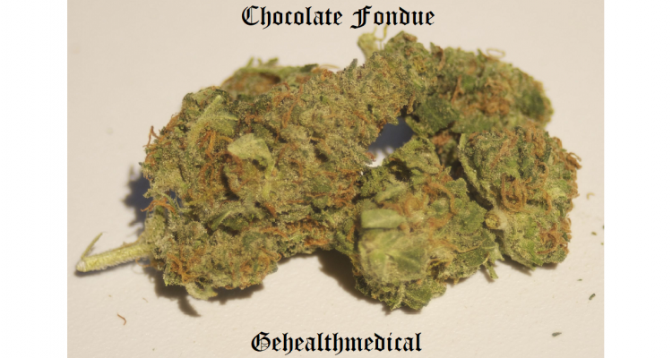 Chocolate Fondue Marijuana Strain Information
