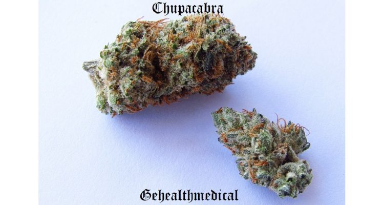 hupacabra Marijuana Strain Information