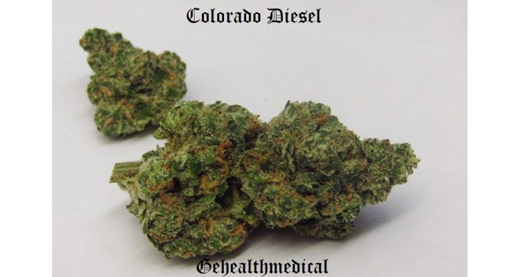 Colorado Diesel Marijuana Strain Information