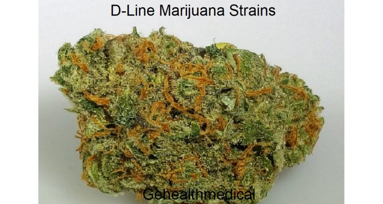 D-Line Marijuana Strains Best Cannabis Varieties