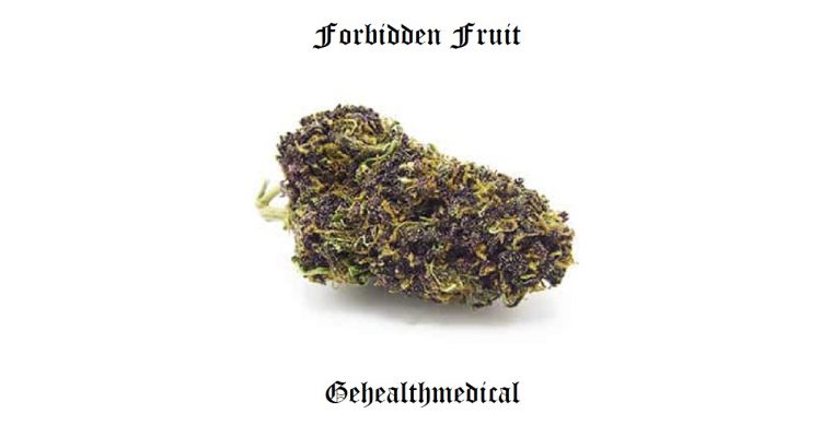 Forbidden Fruit Marijuana Strain Information
