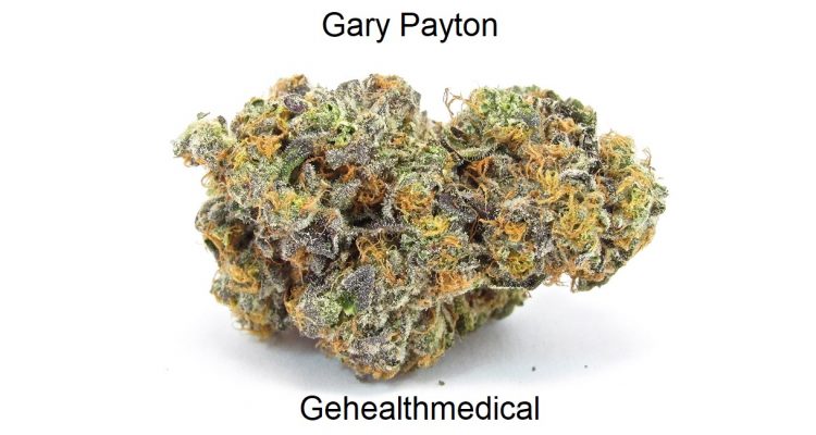 Gary Payton