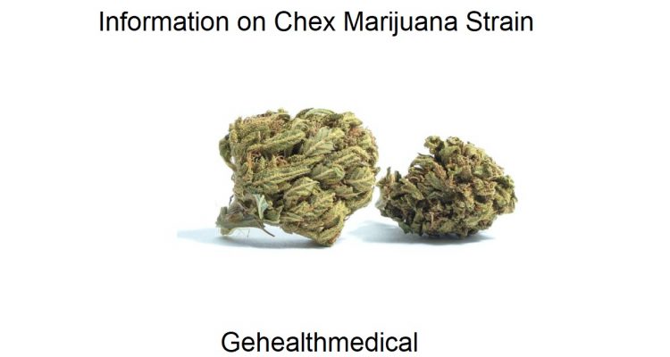 Information on Chex Marijuana Strain