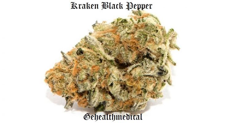 Kraken Black Pepper