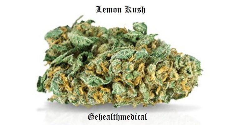 Lemon Kush