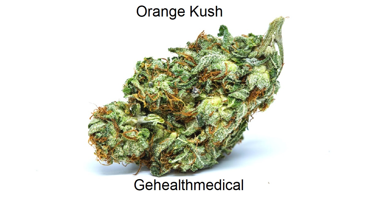 Orange Kush Cannabis Strain