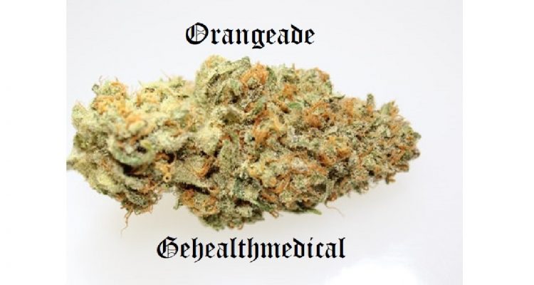 Orangeade