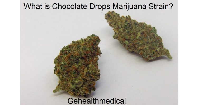 What is Chocolate Drops Marijuana Strain